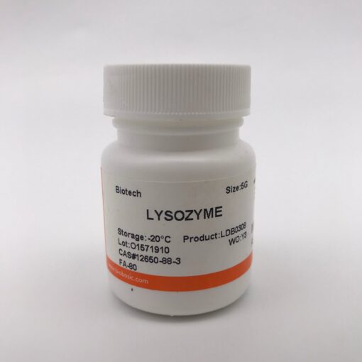 Enzyme Lysozyme